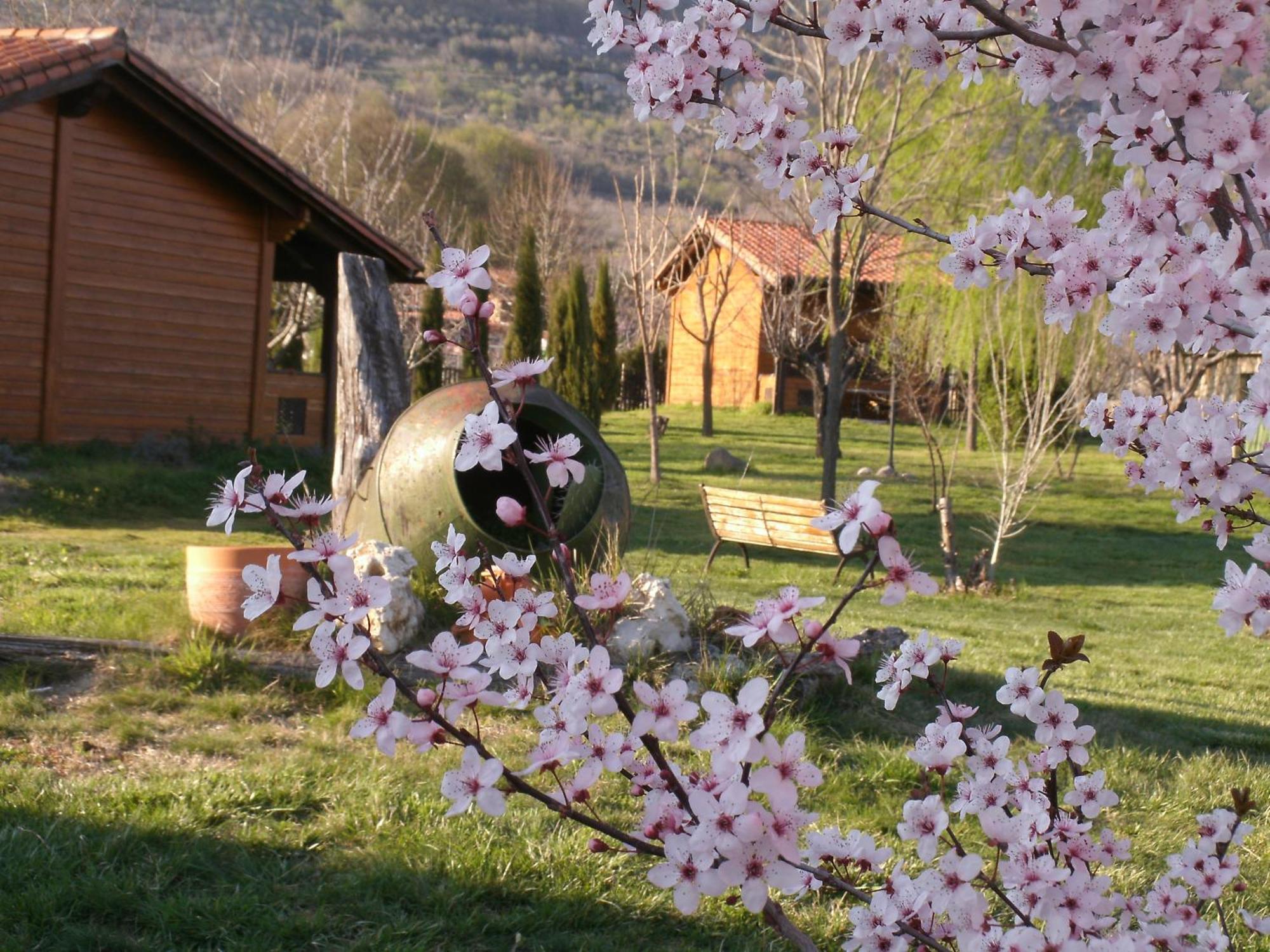 Apartamentos Rurales El Rincon Del Jerte Rebollar エクステリア 写真